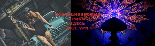 молекула духа Алзамай