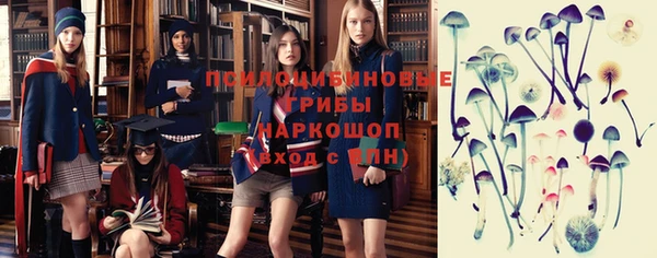 крисы Алексеевка