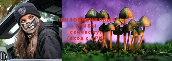 молекула духа Алзамай