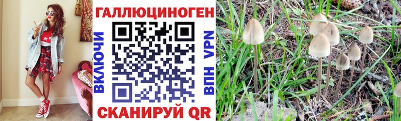 Псилоцибиновые грибы ЛСД Рубцовск